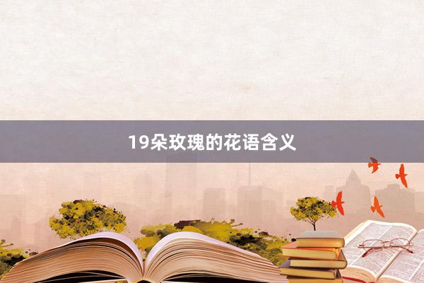 19朵玫瑰的花语含义