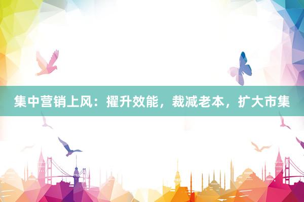 集中营销上风：擢升效能，裁减老本，扩大市集